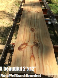 The Pros and Cons of a Portable Sawmill Image